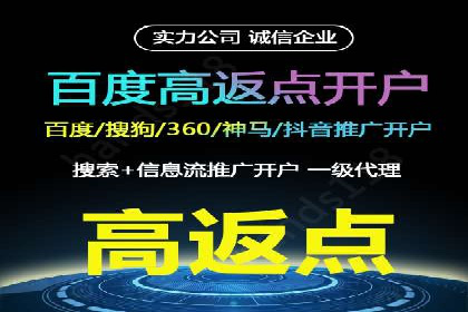 竞价端口开户全攻略，案例分析